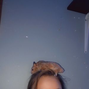 Meet your Posher, Kassidy